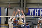 Volleyball vs RWU  Wheaton Women’s Volleyball vs Roger Williams University. : Volleyball, VB